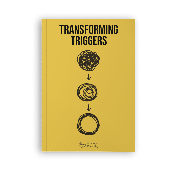 Transforming Triggers Mockup